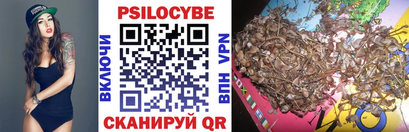 Псилоцибиновые грибы Psilocybine cubensis  Далматово 
